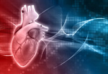 Beating heart patch is large enough to repair the human heart