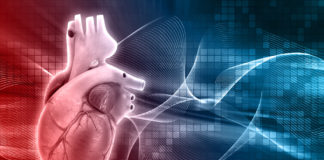 Beating heart patch is large enough to repair the human heart
