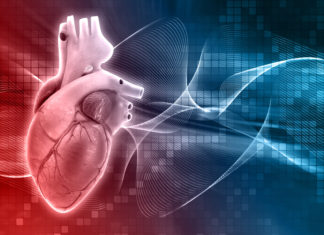 Beating heart patch is large enough to repair the human heart