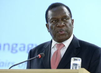 Zimbabwe : Who is ‘Crocodile’- Emmerson Mnangagwa ?