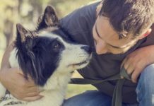 Dog ownership linked to lower mortality rate