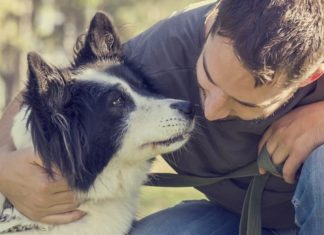 Dog ownership linked to lower mortality rate