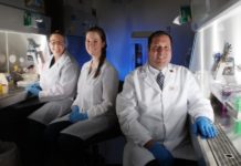 Four-in-one flu shot may mean lifelong protection against the flu