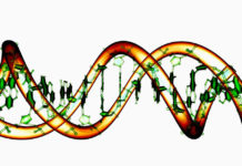 Gene Breakthrough on Lithium Treatment for Bipolar Disorder