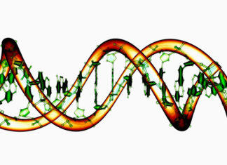 Gene Breakthrough on Lithium Treatment for Bipolar Disorder