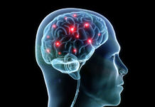 How the Brain Encodes Sounds
