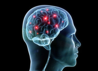 How the Brain Encodes Sounds