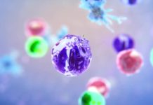 How the Immune System Identifies Invading Bacteria
