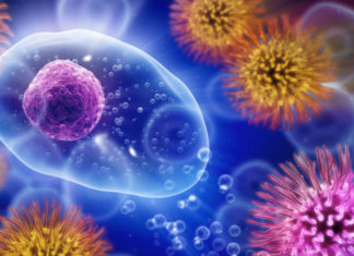 Link Between Infection and Schizophrenia Symptoms Discovered