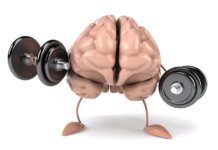 Exercise increases brain size