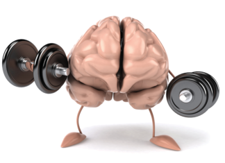 Exercise increases brain size