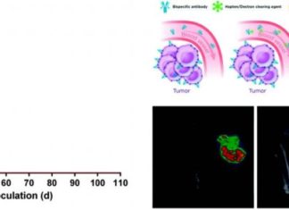 New system for treating colorectal cancer can lead to complete cure