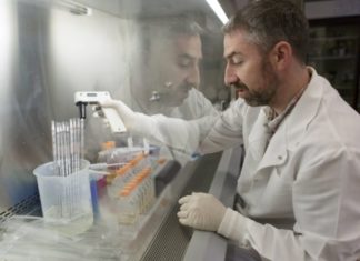 New tool developed to study stem cell transplants as a potential way to treat HIV