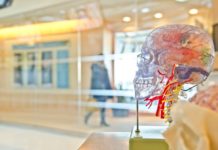 Prion Protein in Skin of CJD Patients