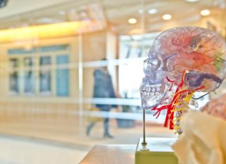 Prion Protein in Skin of CJD Patients