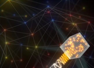 Quantum internet goes hybrid