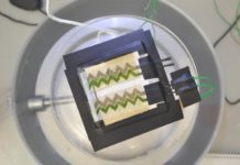 Researchers develop wallpaper bio-solar panel