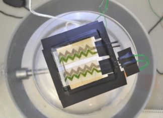 Researchers develop wallpaper bio-solar panel