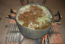 Traditional Amazonian drug linked to improved sense of wellbeing