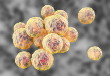 Scientists make significant breakthrough on superbug-killing antibiotic teixobactin