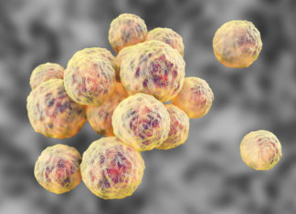 Scientists make significant breakthrough on superbug-killing antibiotic teixobactin