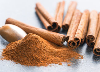 Cinnamon Turns Up the Heat on Fat Cells