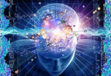 Smarter People Have Better Connected Brains