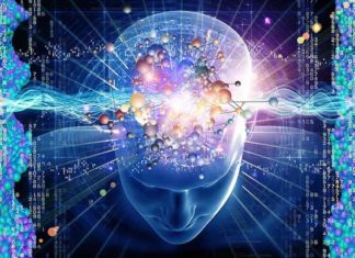 Smarter People Have Better Connected Brains