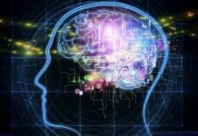 Memory : recognizing images seen briefly ten years previously