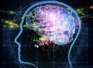 Memory : recognizing images seen briefly ten years previously