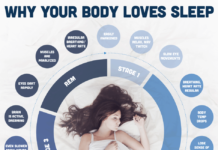 Why Our Brains Need Sleep, and What Happens If We Don’t Get Enough