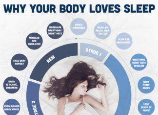 Why Our Brains Need Sleep, and What Happens If We Don’t Get Enough