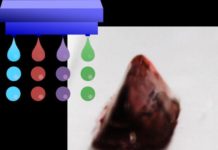 Growing organs a few ink drops at a time