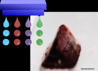 Growing organs a few ink drops at a time