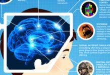 Action games expand the brain’s cognitive abilities