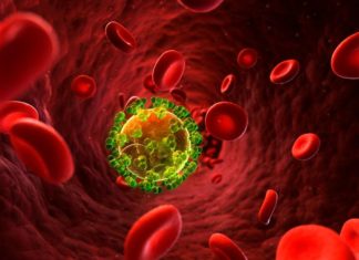 Antibiotics alter the infectious microenvironment and may reduce the ability of immune cells to kill bacteria