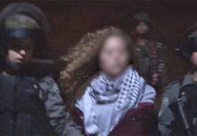 Arrestata la provocatrice seriale che cercava invano di far saltare i nervi ai soldati israeliani