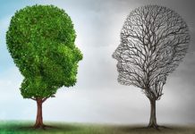 After 12 Years of Searching for Cause of Bipolar Disorder, Researchers Conclude it Has Many