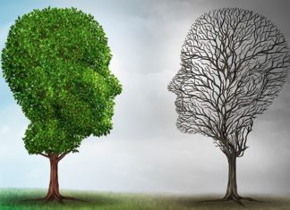 After 12 Years of Searching for Cause of Bipolar Disorder, Researchers Conclude it Has Many