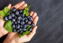 Blueberry Vinegar Improves Memory in Amnesia