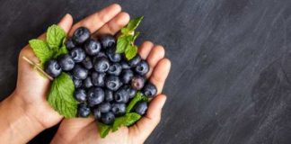 Blueberry Vinegar Improves Memory in Amnesia