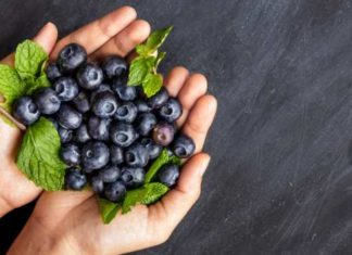 Blueberry Vinegar Improves Memory in Amnesia