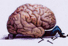 Can’t Switch Focus? Your Brain May Not Be Wired For It
