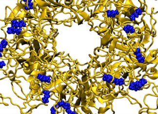 Designer nanoparticles destroy a broad array of viruses