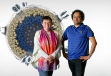 Discovery puts the brakes on HIV’s ability to infect