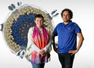 Discovery puts the brakes on HIV’s ability to infect