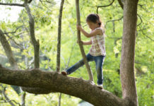 Encouraging risk-taking in children may reduce the prevalence of childhood anxiety