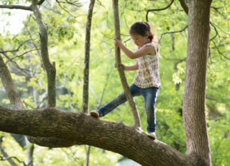 Encouraging risk-taking in children may reduce the prevalence of childhood anxiety
