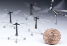 Engineers program tiny robots to move, think like insects