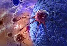 FDA gives green light to Roche cancer test